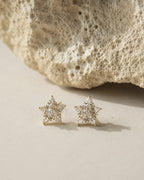 Saini Earrings