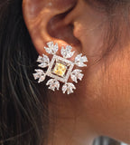 Raffa Earrings