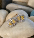 Diordem earrings